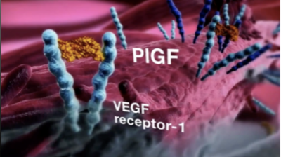 Effetto 3D del blocco recettoriale da VEGF-Trap